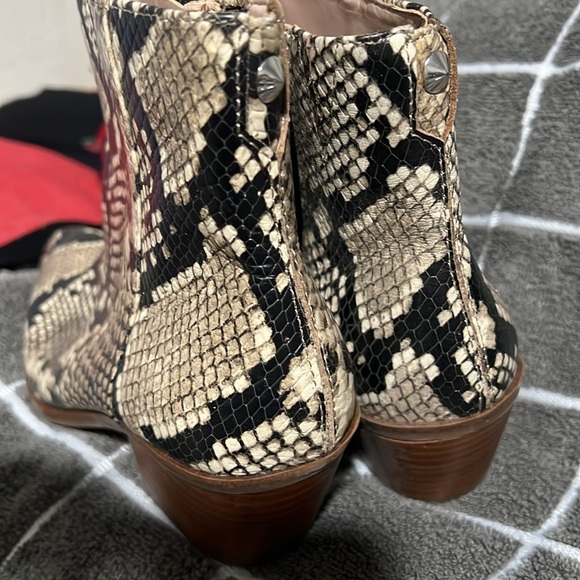 Aldo booties size 6 - Picture 2 of 7